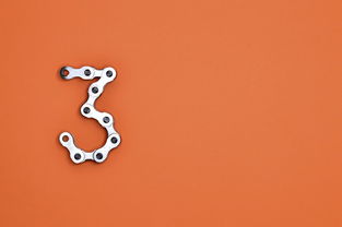 世界上最有名的扇子是什么，世界上最精致的扇子