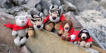 世界上最忧伤的熊绘本，世界上最忧伤的狮子