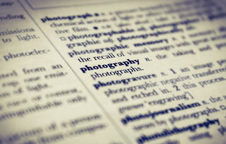 世界上最神奇的搭配词，世界上最神奇的搭配词语是什么