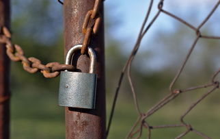 中国最恐怖最锋利的剑，中国最厉害的剑是什么剑?
