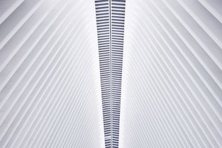 世界上最特殊的纸，世界上最特殊的纸是什么纸