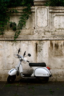 新踏板车十大排名,最新款踏板车前十名