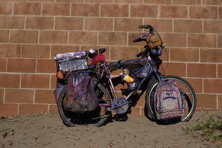 世界摩托车价格排行,世界摩托车价位排名前十