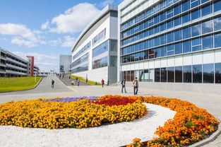 中国十大排名专业有哪些,中国十大专业最好的大学