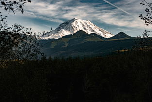 中国绘画作品精粹雪域高原,中国最绘画作品