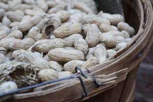 世界主要食物种类，世界主要主食作物排名前十