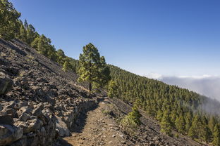 世界上最怪的山，世界上最魔山