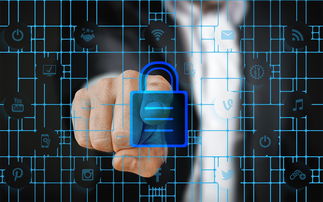 牛屠宰企业排名,世界牛宰杀数量排名前十