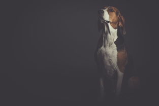 世界上死得最诡异的人，世界上最突然的死鬼