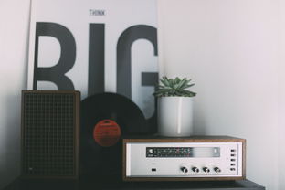 中国十大广播,中国最值钱广播声音