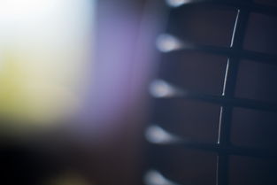 中国最柔和的光,什么光比较柔和