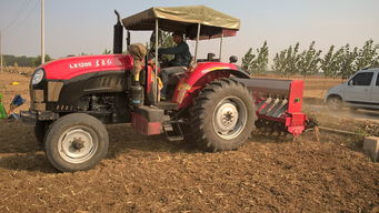 哪种洗菜机真正有用,十大排名洗菜机