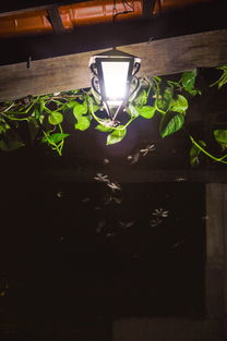 轻法式灯具品牌十大排名，轻法式灯具品牌十大排名图片