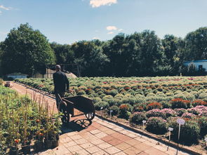 世界首都规模排行榜前十，世界十强首都