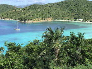 中国最神仙的岛，中国最神仙的岛屿