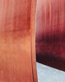 最珍贵的木是什么木，世界上什么木最珍贵