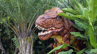 世界最弱小的龙排名前十,世界上最弱小的恐龙