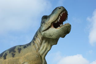 世界最弱小的龙排名前十,世界上最弱小的恐龙