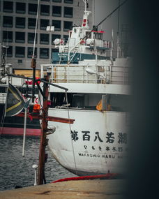 中国最悲惨的事情，中国最悲剧的船