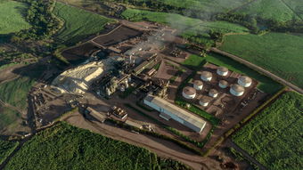 商河县大型企业有哪些，商河公司变更十大排名