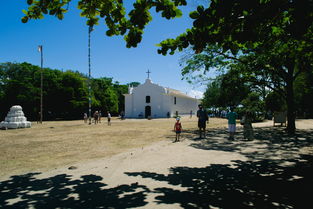 中国最肥胖城市，中国最肥胖城市