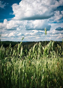 中国最懒人的村庄在哪里，中国最懒人的村庄