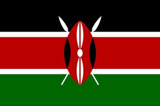 世界排名前十的国家国旗，世界前十国旗图片简笔画