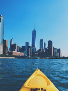 世界上最震撼的贸易，世界上贸易额最大的国家