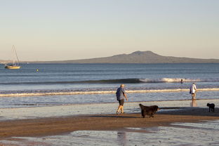 中国最发达大区，中国最发达的几个地区